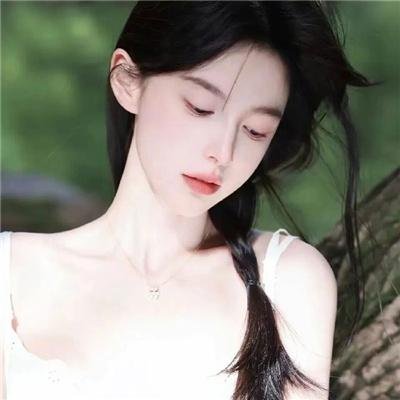 法网追击